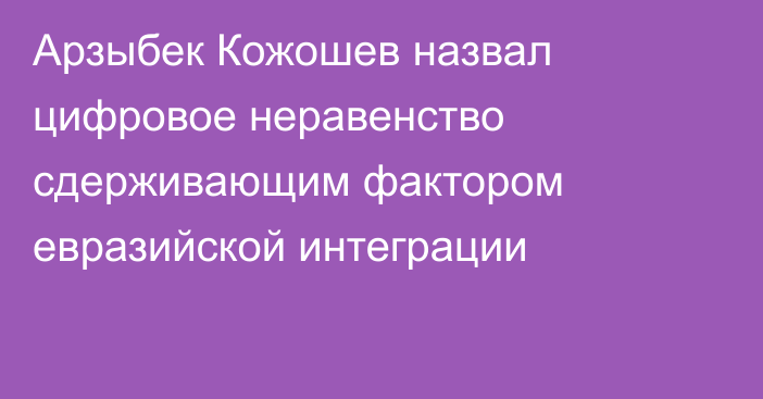 Арзыбек Кожошев назвал цифровое неравенство сдерживающим фактором евразийской интеграции