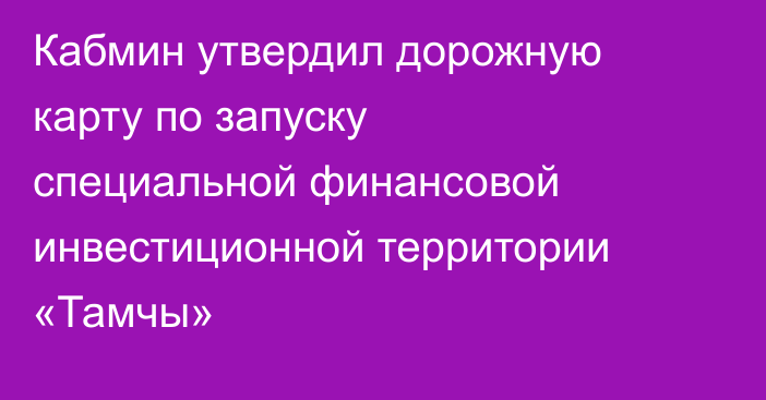 Кабмин утвердил дорожную карту по запуску специальной финансовой инвестиционной территории «Тамчы»