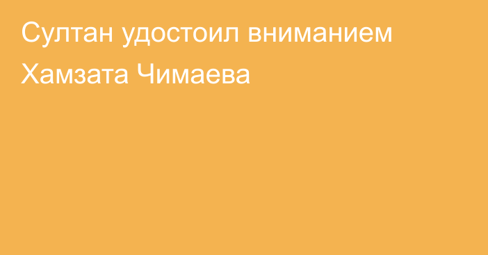 Султан удостоил вниманием Хамзата Чимаева