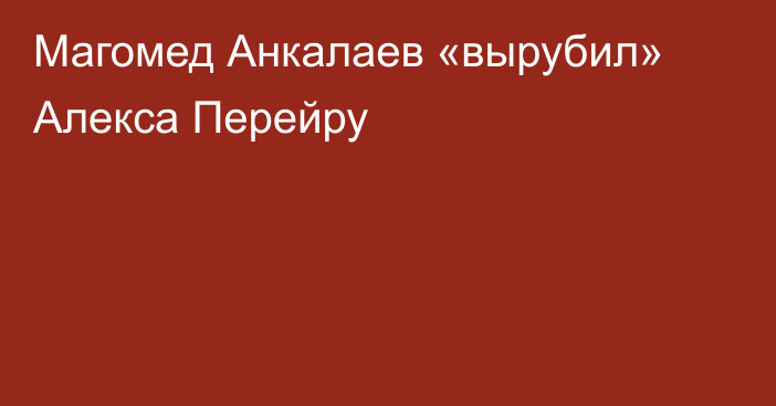 Магомед Анкалаев «вырубил» Алекса Перейру