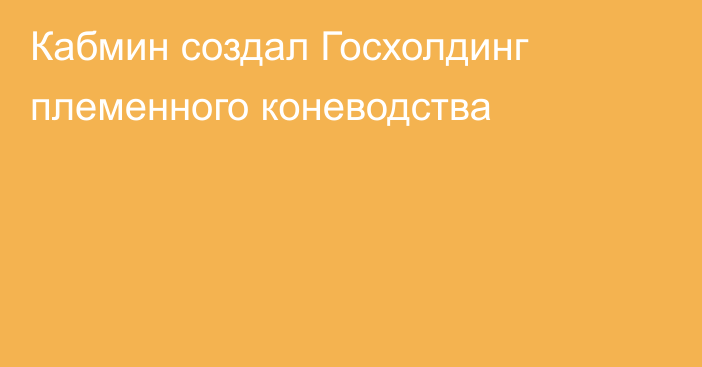 Кабмин создал Госхолдинг племенного коневодства