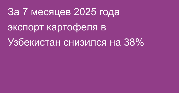 За 7 месяцев 2025 года экспорт картофеля в Узбекистан снизился на 38%