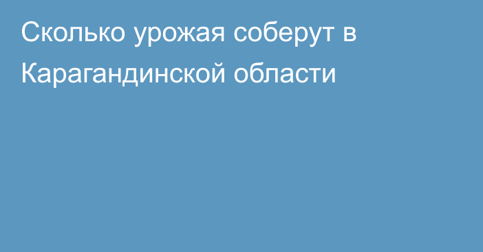 Сколько урожая соберут в Карагандинской области