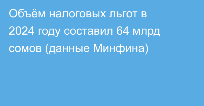 Объём налоговых льгот в 2024 году составил 64 млрд сомов (данные Минфина)