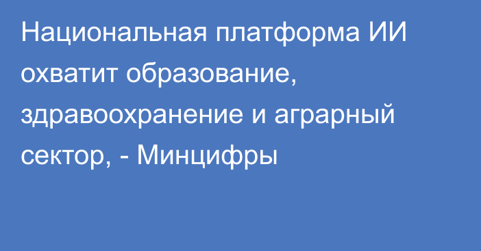 Национальная платформа ИИ охватит образование, здравоохранение и аграрный сектор, - Минцифры