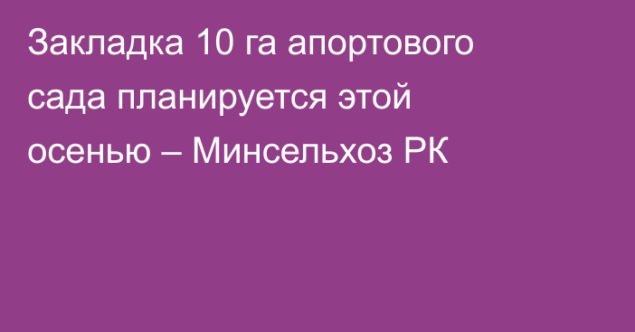 Закладка 10 га апортового сада планируется этой осенью – Минсельхоз РК