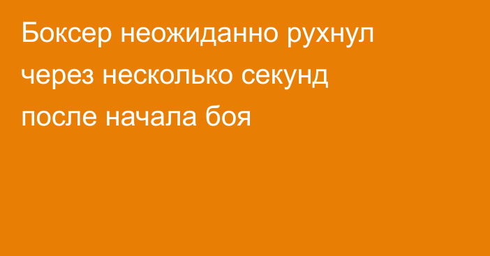 Боксер неожиданно рухнул через несколько секунд после начала боя