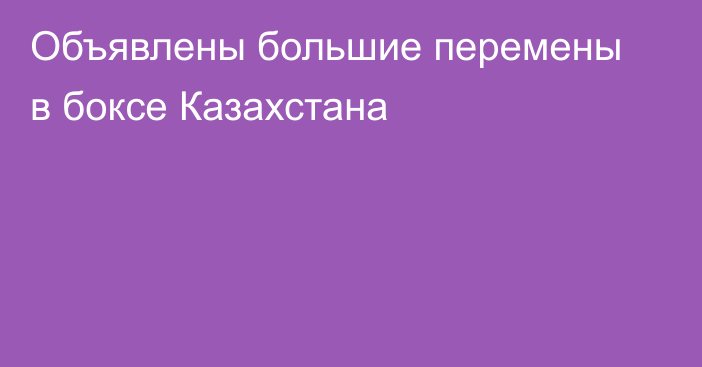 Объявлены большие перемены в боксе Казахстана