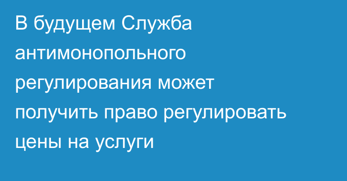 В будущем Служба антимонопольного регулирования может получить право регулировать цены на услуги