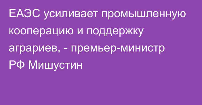 ЕАЭС усиливает промышленную кооперацию и поддержку аграриев, - премьер-министр РФ Мишустин