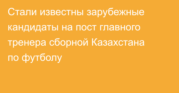 Стали известны зарубежные кандидаты на пост главного тренера сборной Казахстана по футболу