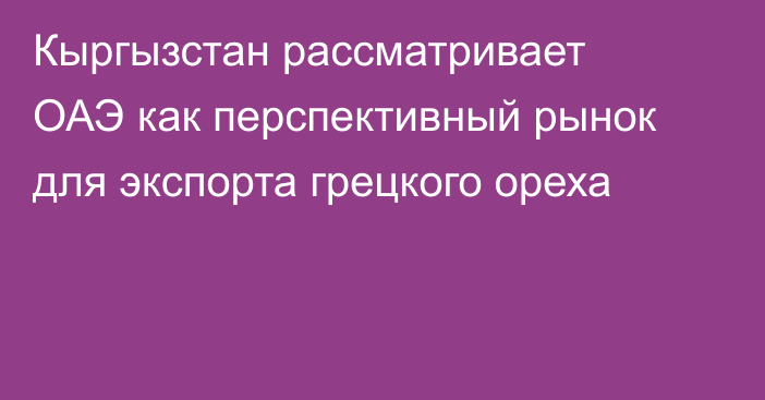 Кыргызстан рассматривает ОАЭ как перспективный рынок для экспорта грецкого ореха