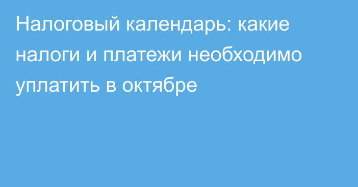 Налоговый календарь: какие налоги и платежи необходимо уплатить в октябре