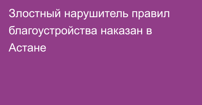Злостный нарушитель правил благоустройства наказан в Астане