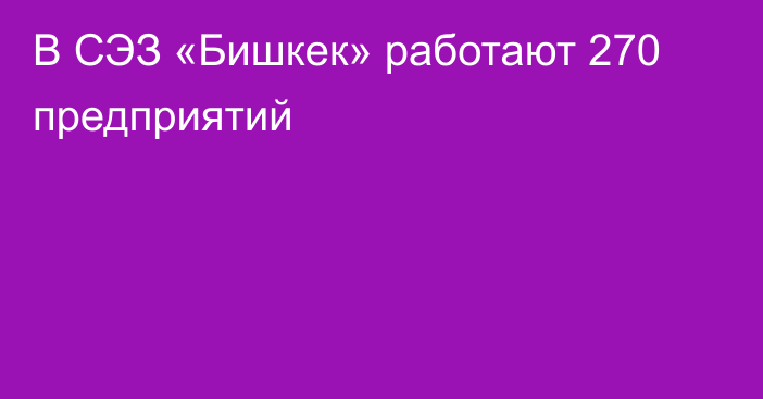 В СЭЗ «Бишкек» работают 270 предприятий