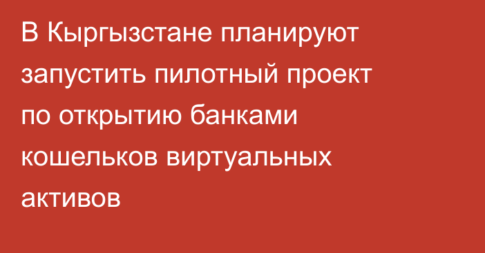 В Кыргызстане планируют запустить пилотный проект по открытию банками кошельков виртуальных активов