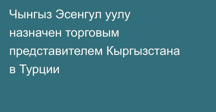 Чынгыз Эсенгул уулу назначен торговым представителем Кыргызстана в Турции