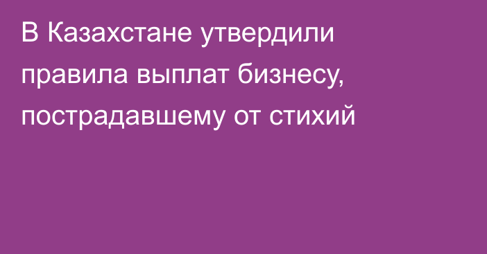 В Казахстане утвердили правила выплат бизнесу, пострадавшему от стихий