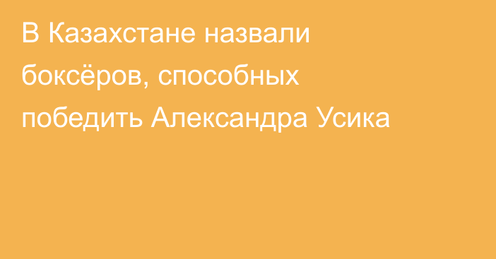 В Казахстане назвали боксёров, способных победить Александра Усика