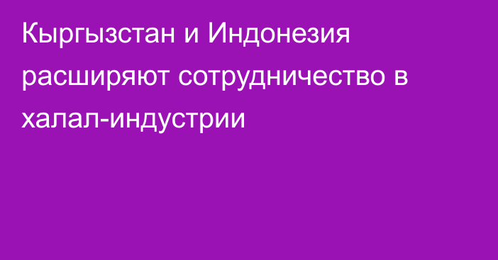Кыргызстан и Индонезия расширяют сотрудничество в халал-индустрии