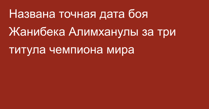 Названа точная дата боя Жанибека Алимханулы за три титула чемпиона мира