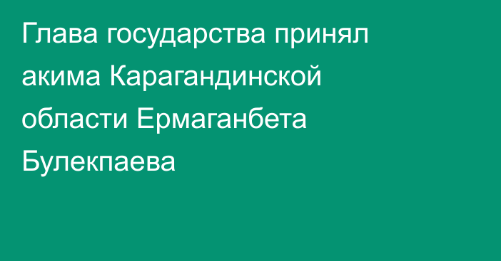 Глава государства принял акима Карагандинской области Ермаганбета Булекпаева