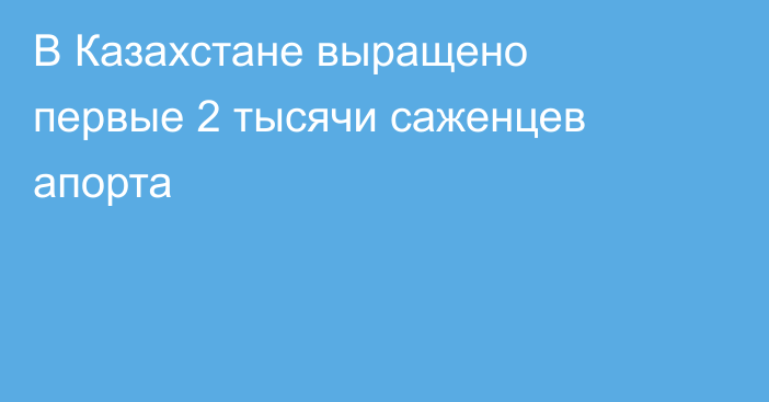 В Казахстане выращено первые 2 тысячи саженцев апорта