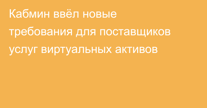 Кабмин ввёл новые требования для поставщиков услуг виртуальных активов