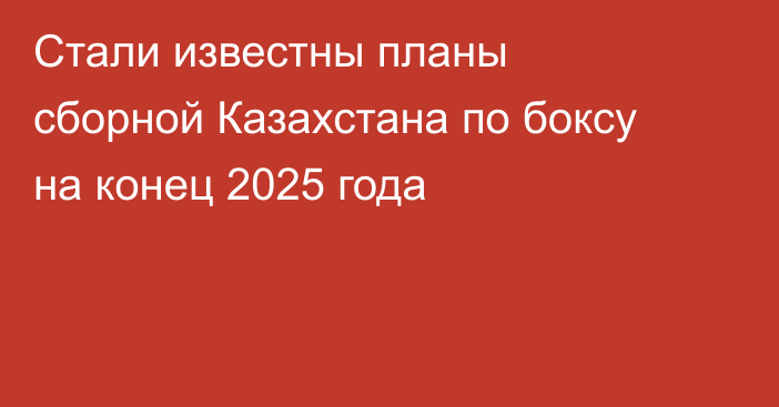 Стали известны планы сборной Казахстана по боксу на конец 2025 года