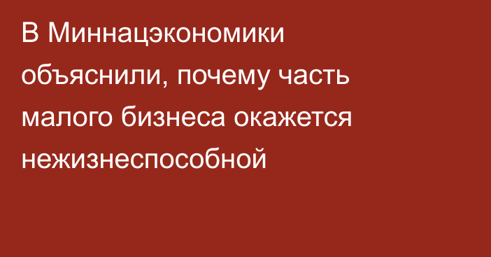В Миннацэкономики объяснили, почему часть малого бизнеса окажется нежизнеспособной