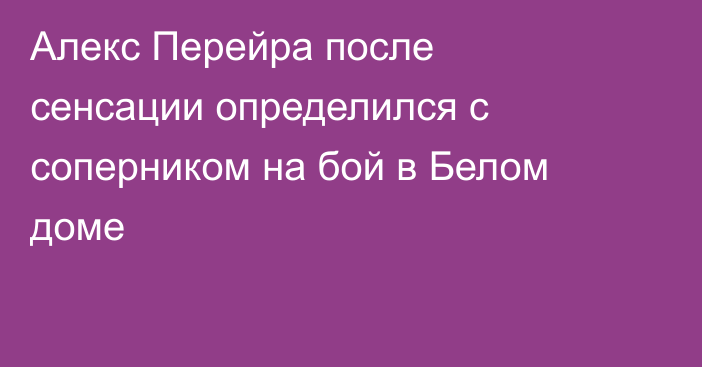 Алекс Перейра после сенсации определился с соперником на бой в Белом доме