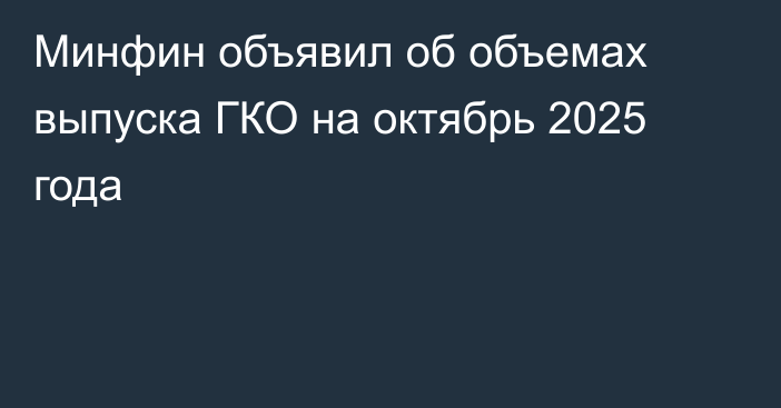 Минфин объявил об объемах выпуска ГКО на октябрь 2025 года