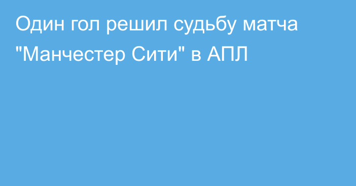 Один гол решил судьбу матча 