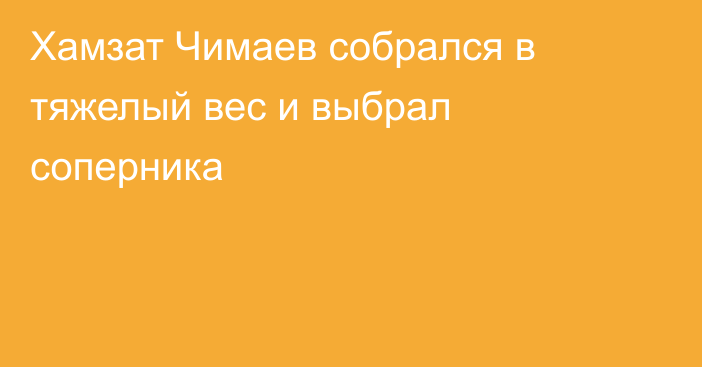 Хамзат Чимаев собрался в тяжелый вес и выбрал соперника