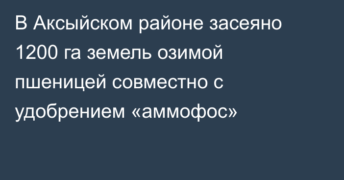 В Аксыйском районе засеяно 1200 га земель озимой пшеницей совместно с удобрением  «аммофос»
