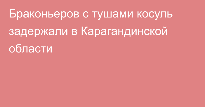 Браконьеров с тушами косуль задержали в Карагандинской области