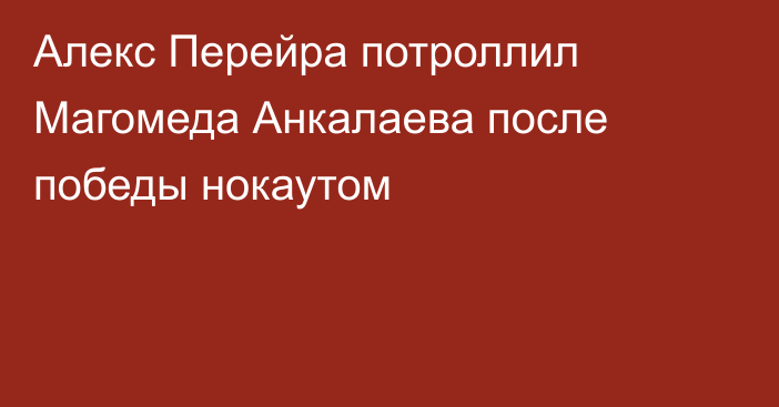 Алекс Перейра потроллил Магомеда Анкалаева после победы нокаутом