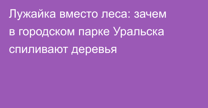 Лужайка вместо леса: зачем в городском парке Уральска спиливают деревья
