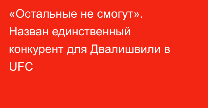 «Остальные не смогут». Назван единственный конкурент для Двалишвили в UFC