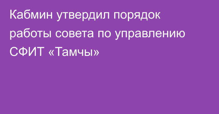 Кабмин утвердил порядок работы совета по управлению СФИТ «Тамчы»