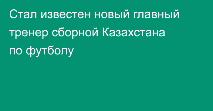 Стал известен новый главный тренер сборной Казахстана по футболу