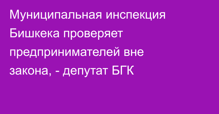 Муниципальная инспекция Бишкека проверяет предпринимателей вне закона, - депутат БГК