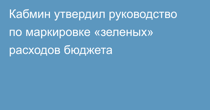 Кабмин утвердил руководство по маркировке «зеленых» расходов бюджета
