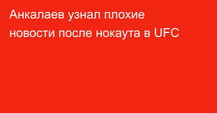 Анкалаев узнал плохие новости после нокаута в UFC