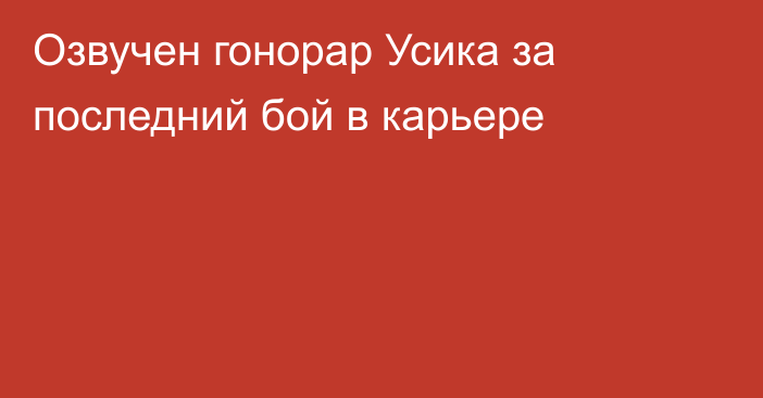 Озвучен гонорар Усика за последний бой в карьере