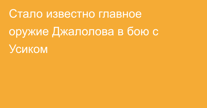 Стало известно главное оружие Джалолова в бою с Усиком