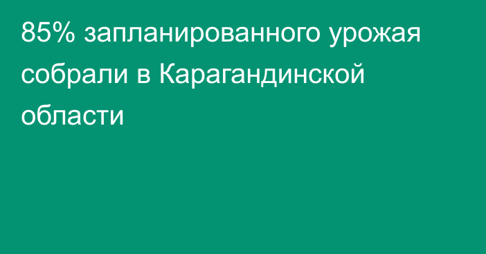 85% запланированного урожая собрали в Карагандинской области