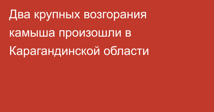 Два крупных возгорания камыша произошли в Карагандинской области