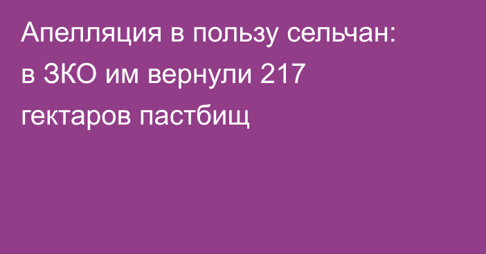 Апелляция в пользу сельчан: в ЗКО им вернули 217 гектаров пастбищ
