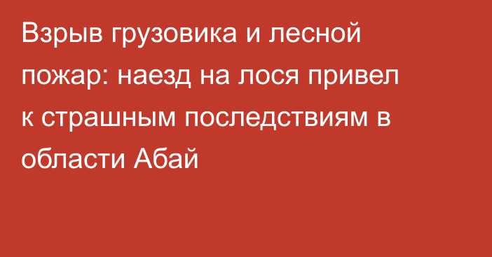 Взрыв грузовика и лесной пожар: наезд на лося привел к страшным последствиям в области Абай